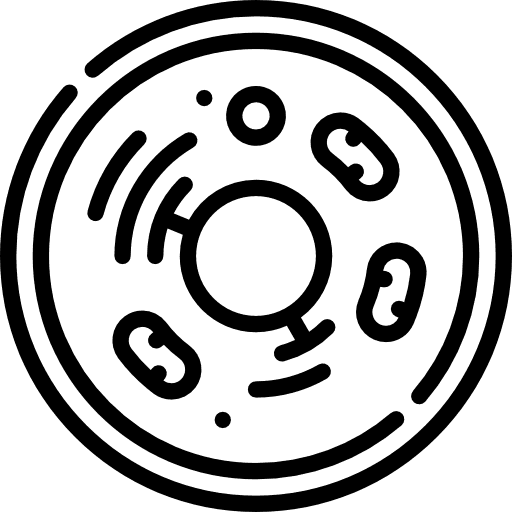 CAR-T Cell Therapy